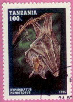 Fledermaus Briefmarke 1